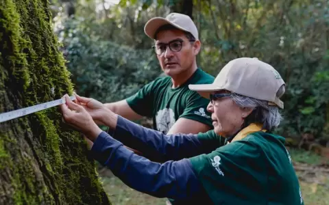 �Se extiende el plazo para inscribir tu �rbol al Concurso Colosos de la Tierra!