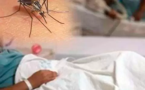 Identificaron m�s de 3.500 casos nuevos de dengue
