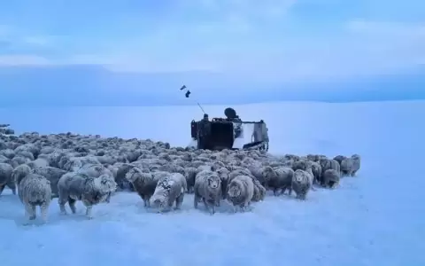Las causas del fr�o extremo en la Patagonia argentina