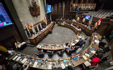 El Senado de Bolivia aprueba la adhesi�n del pa�s al Mercosur