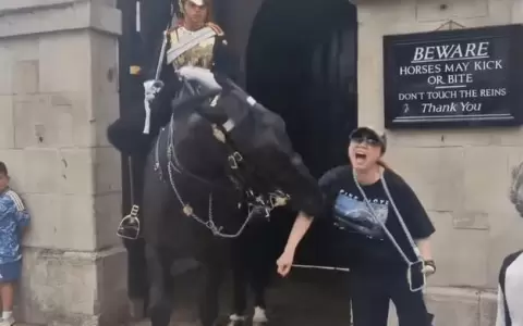 Un caballo de la Guardia Real brit�nica mordi� por sorpresa a una turista