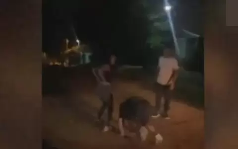 Siete delincuentes asaltaron un bus del transporte p�blico
