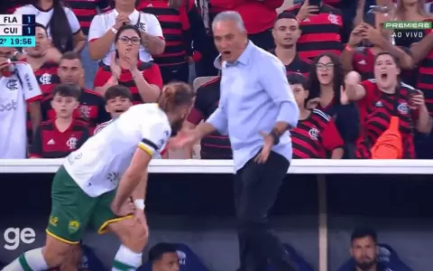 Tite recrimin� con todo a Pitta