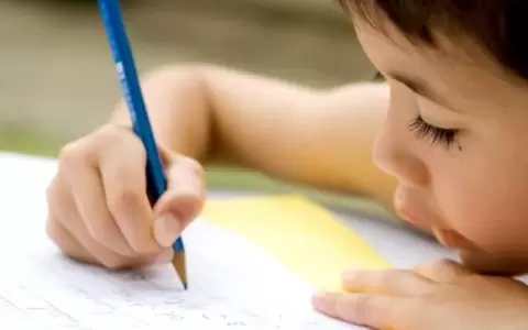 La nueva ley obligata la ense�anza obligatoria desde preescolar al tercer a�o de educaci�n media en las escuelas p�blicas y privadas subvencionadas.