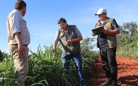 Titulaci�n de tierras incrementa en 500 %, �c�mo se dan estas cifras?