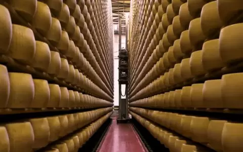 Un banco italiano acepta queso parmesano como garant�a para otorgar cr�ditos