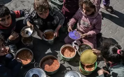 ONU: el hambre afect� a 733 millones de personas en 2023