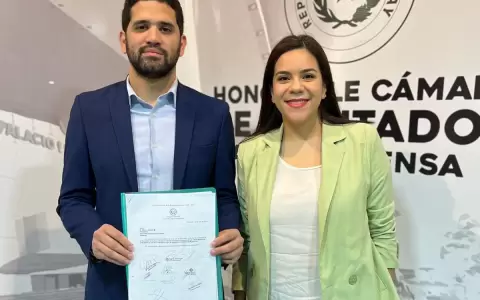 Diputados de la oposici�n presentan "Ley anti Nenecho": �De qu� se trata?