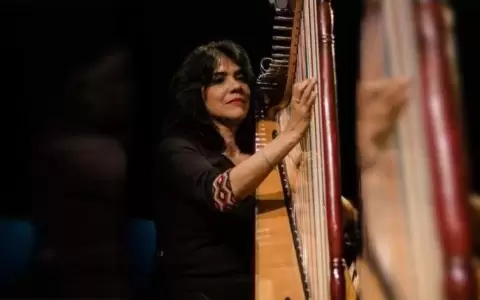 Norma Ortega tocar� el arpa esta noche en Tamo