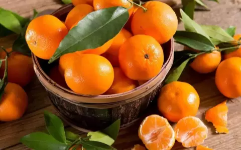 La mandarina, fruta de estaci�n beneficiosa para combatir enfermedades gripales