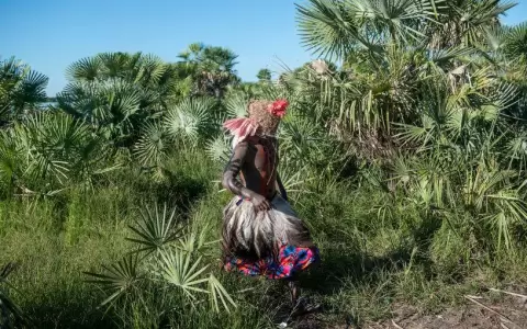 "La belleza de lo posible. Arte del Paraguay" en Islas Canarias