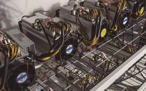 "Los n�meros ya no cierran", lamentan criptomineras legales