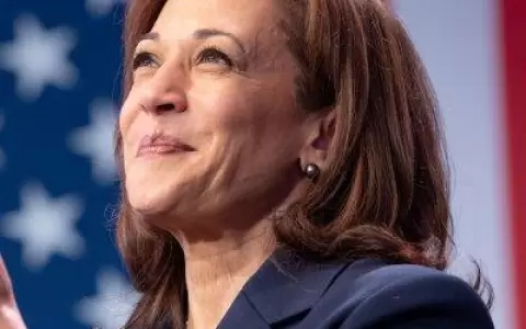 �Qui�n es Kamala Harris, la favorita para reemplazar a Biden en la carrera presidencial?