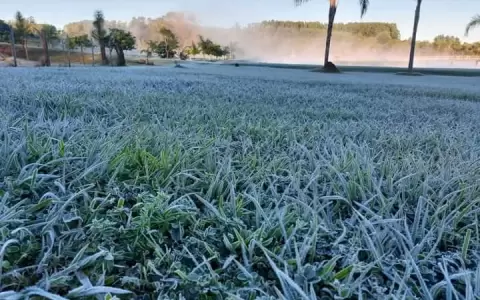 Clima: amanecer fr��o y con escarchas