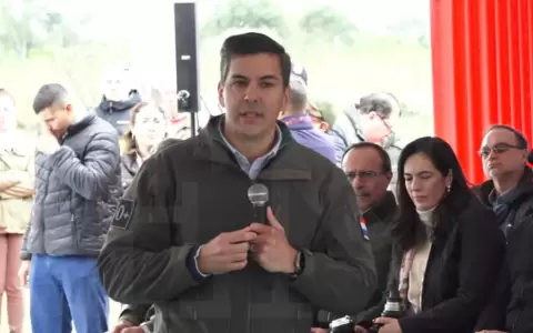 Pe�a sobre Alliana: "Ver�n a un �eembuque�o sentado en el Palacio de L�pez en el 2028"