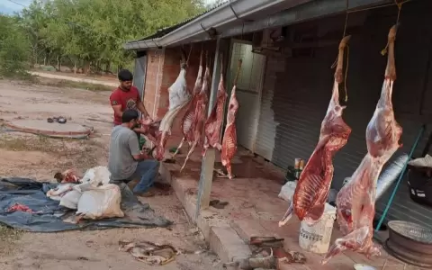 Caza furtiva de especies en v�as de extinci�n en el Chaco