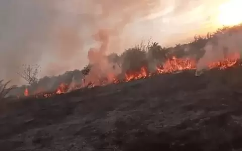 Reportan incendio forestal en It�
