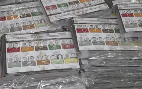 Senador no acompa�a intenci�n de volver a las papeletas en las elecciones