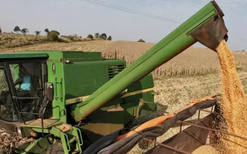 Productores se preparan para una nueva campa�a agr�cola