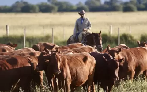Gremios de la producci�n en alerta ante enfrentamientos en establecimientos ganaderos