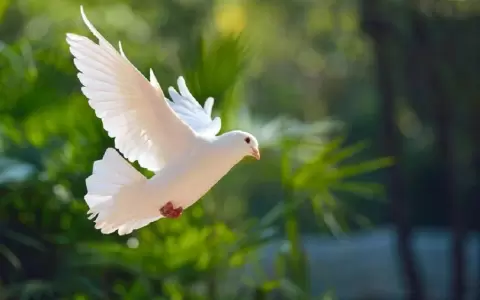 Este ser�a su animal espiritual seg�n su fecha de nacimiento