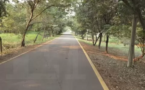 V�ctima de abuso en el Parque Guasu logr� identificar en im�genes al presunto autor