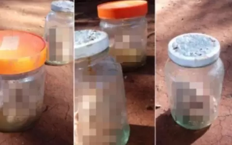Hallan dos fetos humanos en frascos de vidrio en Hernandarias