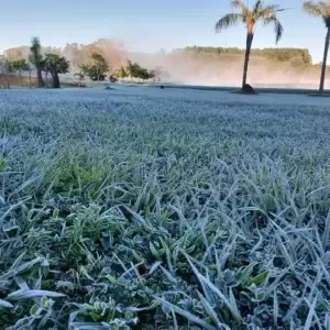Alerta de heladas en todo el pa�s: emiten recomendaciones para productores agropecuarios