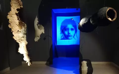 "Damiana vuelve a casa", muestra de Gustavo Ben�tez en el Pinta Sud Asu