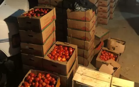 Incautaci�n de tomate en Abasto: denuncian que Senave provee gu�as de traslado para contrabando