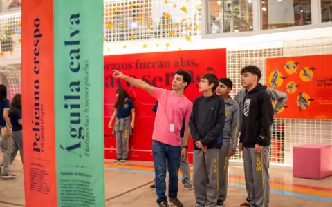 Exhibici�n interactiva "El vuelo de las aves"