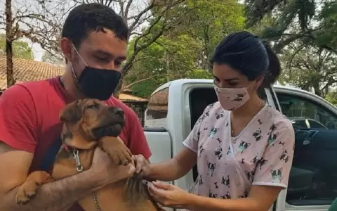Hoy recuerda el D�a del Profesional de Veterinaria