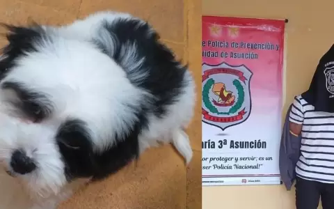 Hombre rob� un perro y lo vendi� por G. 20.000