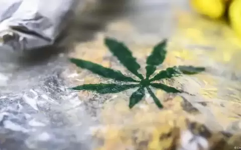 El cannabis, �una v�a factible para abandonar los opi�ceos?