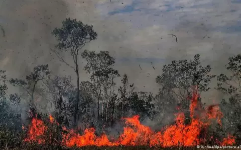 S�o Paulo declara estado de emergencia por graves incendios que ya dejaron dos muertos