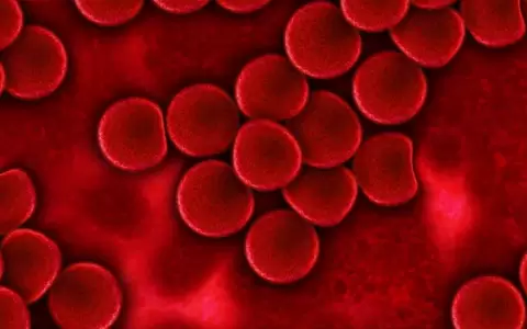 Estudio: prote�nas de la sangre pueden predecir el riesgo de desarrollar m�s de 60 enfermedades