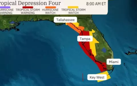 Alerta en Florida por la tormenta tropical Debby: riesgos de inundaciones por fuertes lluvias