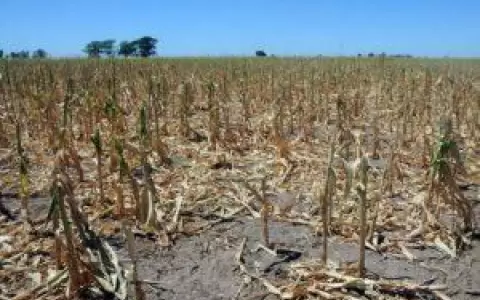 Incertidumbre por posible impacto de La Ni�a a finales de septiembre