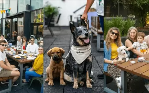 Esplendor by Wyndham Asunci�n celebr� el D�a del Perro