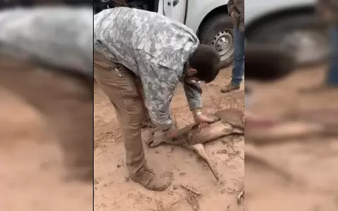 Denuncian a presentador ambientalista por degollar a venado: "Fue un accidente", se defendi�