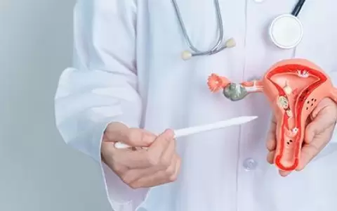 Un estudio concluye que 17 genotipos de VPH se relacionan con el c�ncer de cuello de �tero invasivo