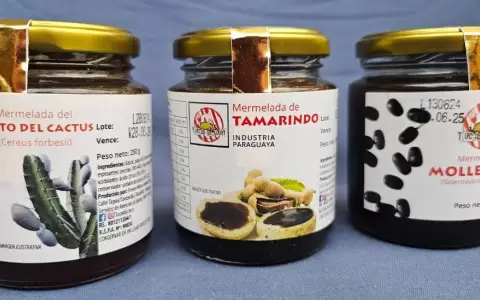 Producci�n basada en naturaleza, conservaci�n y desarrollo