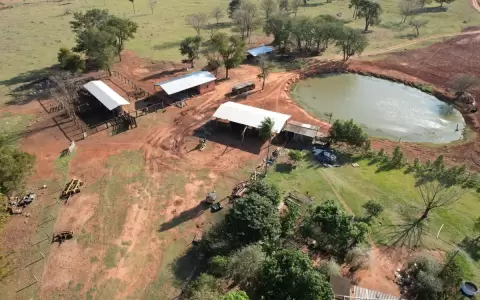 Golpe al narcotr�fico: durante procedimiento, Senad incauta m�s de una tonelada de marihuana