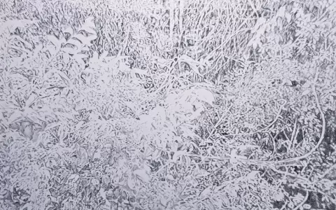 Pinta Sud Asu: Wolfgang Krauch expone sus dibujos en F�brica Galer�a