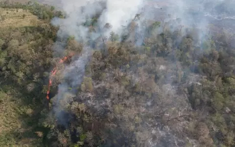 Declaran emergencia general por incendio forestal en Parque Nacional Cerro Cor�