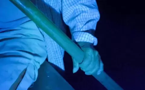 Se aproxima el 8� Festival Internacional de Cine Ambiental y Derechos Humanos