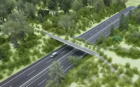 Paraguay tendr� su primer paso de fauna elevado
