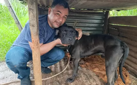 Emotivo reencuentro: perrito robado hace un a�o volvi� con su familia en Capiat�