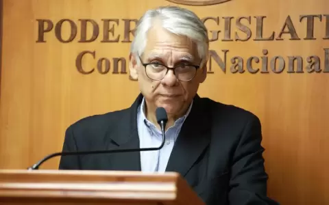 En la pol�tica no hay celeridad para mejorar situaci�n de ni�os, dice Iramain