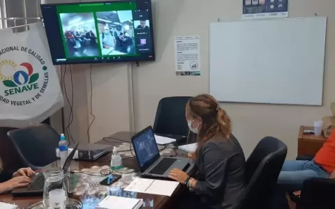 Denuncian desv�o de G. 1.400 millones en el Senave